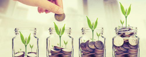 Stock Investment
